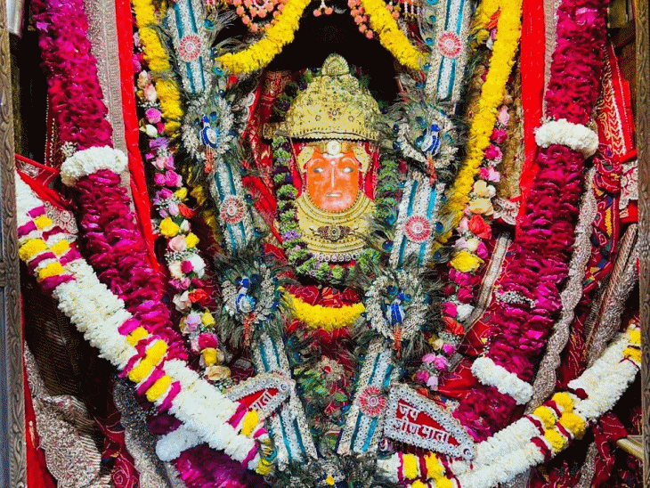 Live darshan of Shri Jeen Mata adorned with peacock feathers, rose and marigold garlands inside the sanctum at Sikar